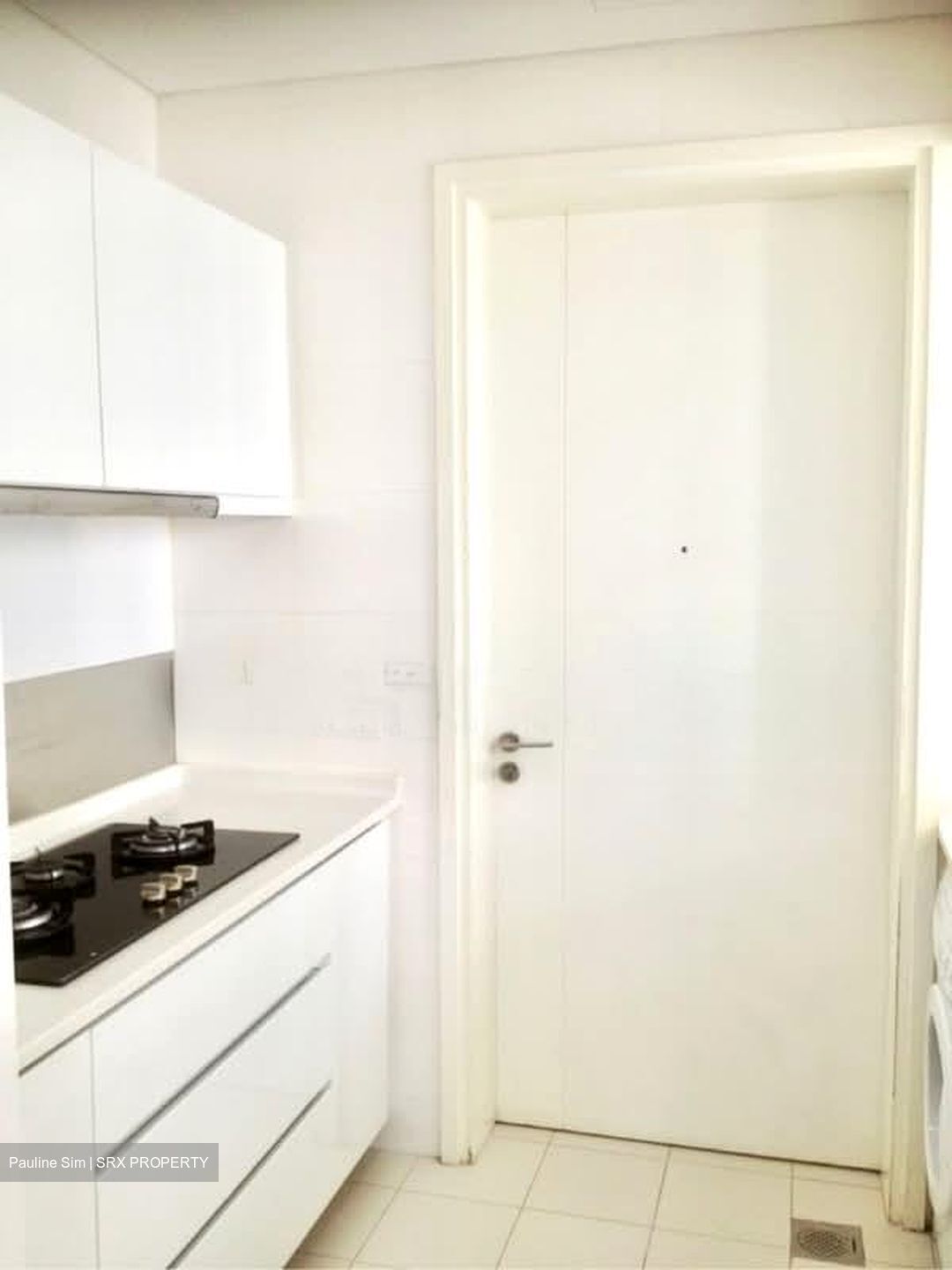 Newton One (D11), Condominium #630612721